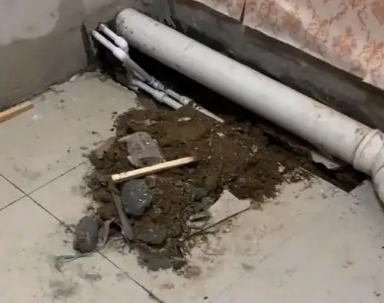 苍梧卫生间漏水检测哪家好